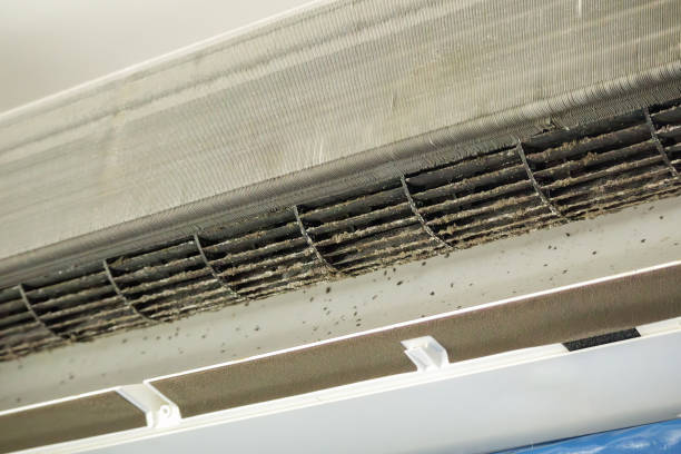 Best Ductwork Cleaning Services  in Ocean Ridge, FL