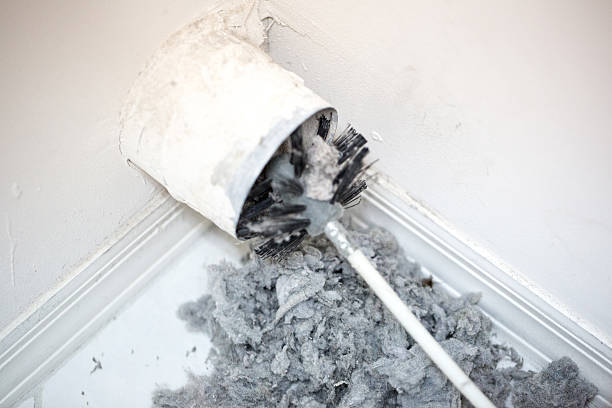 Best Dryer Vent Cleaning Services  in Ocean Ridge, FL